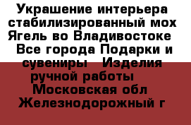 Украшение интерьера стабилизированный мох Ягель во Владивостоке - Все города Подарки и сувениры » Изделия ручной работы   . Московская обл.,Железнодорожный г.